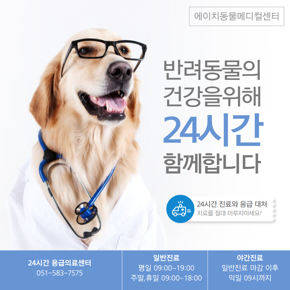 에이치메디컬 이미지