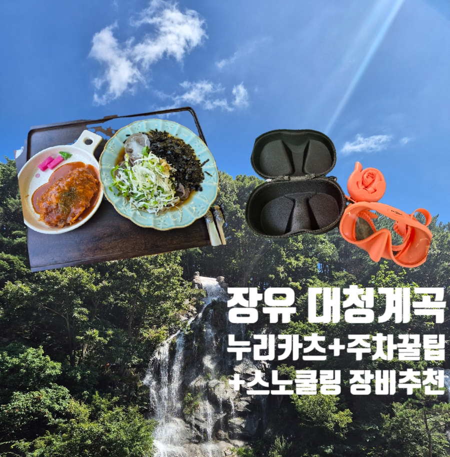 누리카츠 이미지
