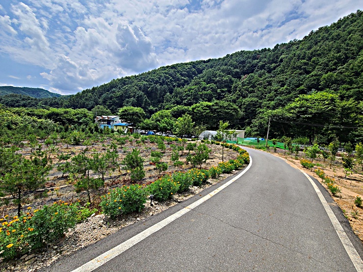 포레스트펜션민박 이미지