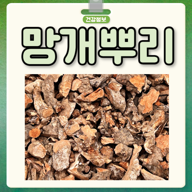 망개뿌리 효능 부작용 망개나무뿌리 먹는 법 : 네이버 블로그