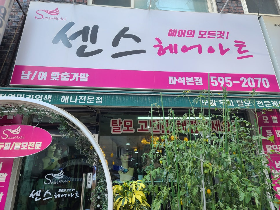 센스모드니 이미지
