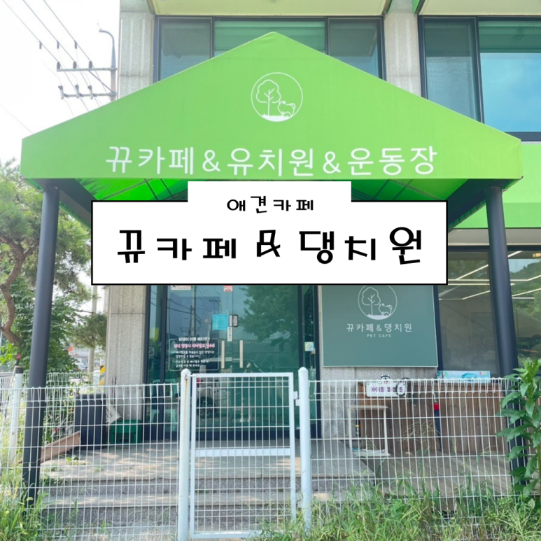 뀨카페 이미지