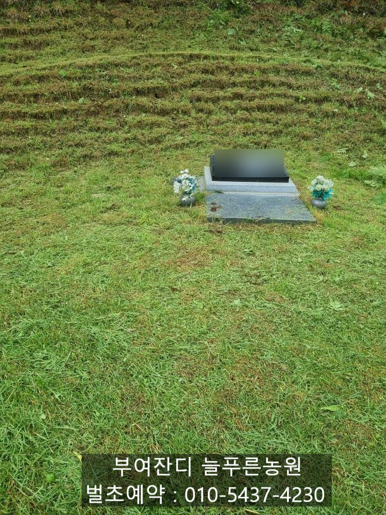 푸른조경농원 이미지