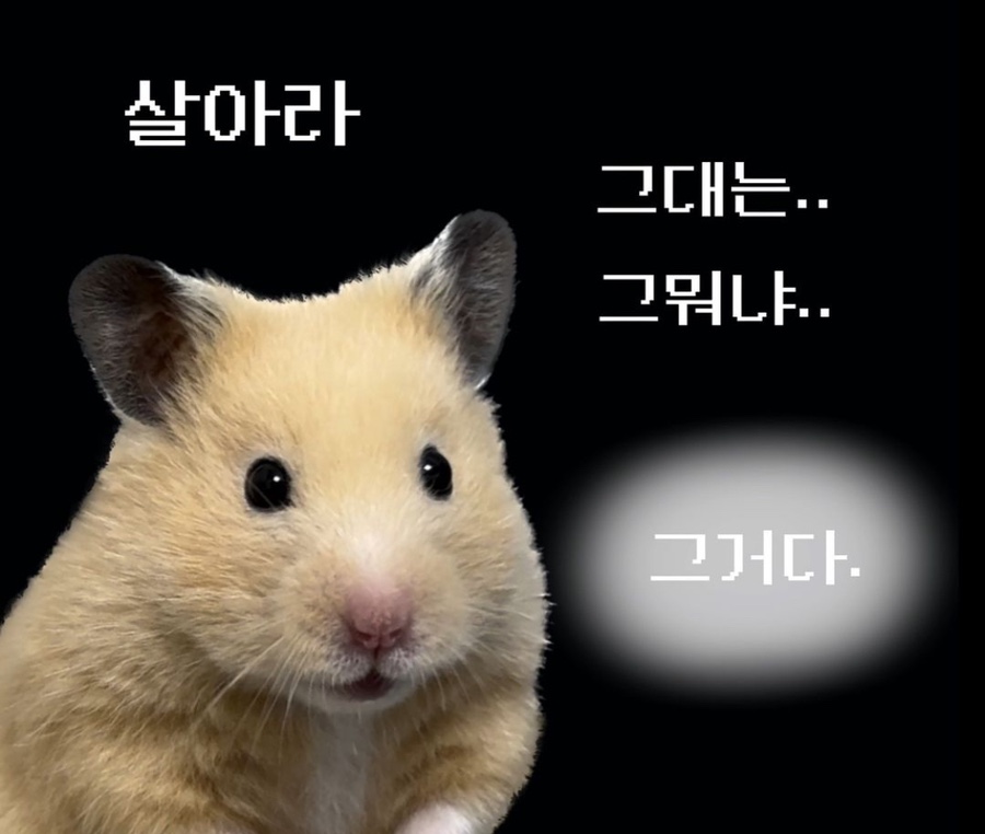 킹콩2 이미지
