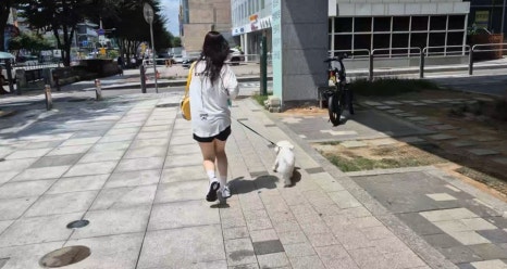 싱생송 이미지