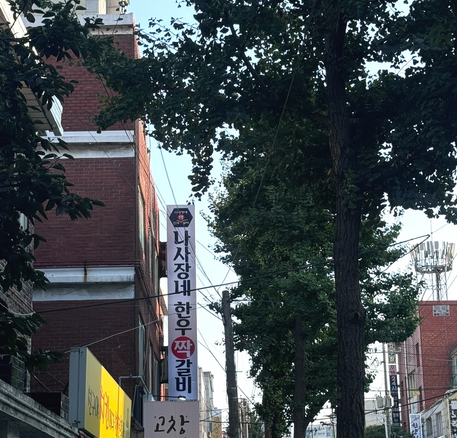 리사장네 이미지
