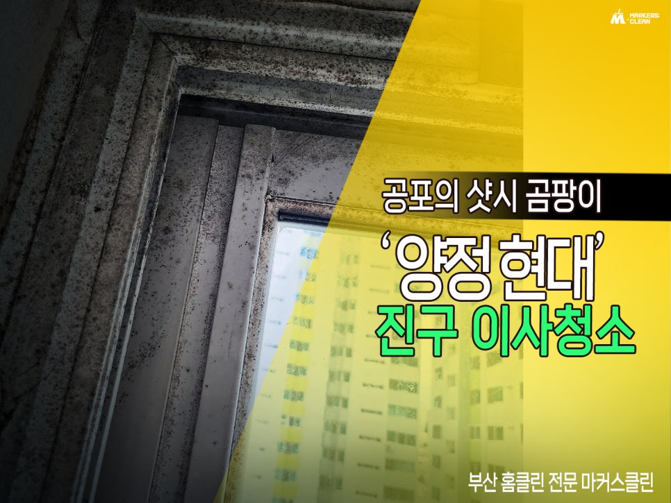 마커스클린 이미지