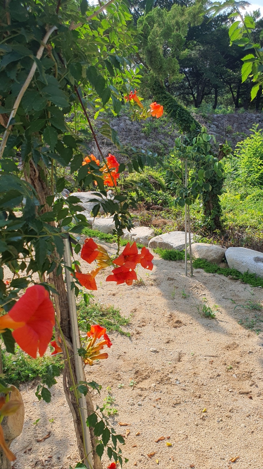 대성종합파렛트 이미지