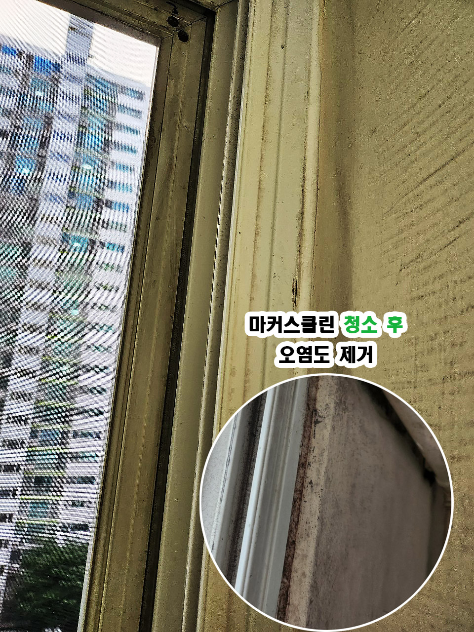 마커스클린 이미지
