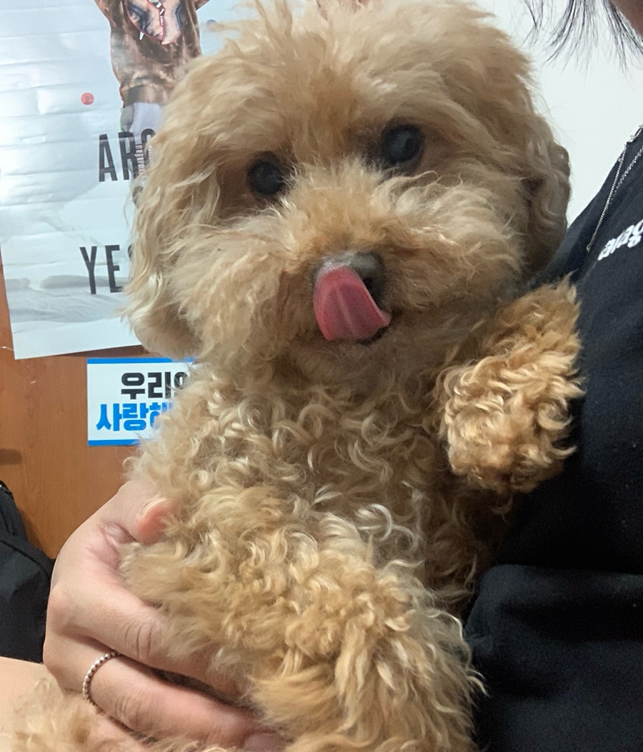 말랑 이미지