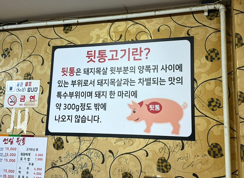 연일 뒷통 이미지