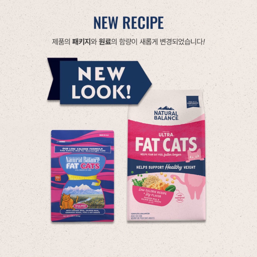 팻캣 이미지