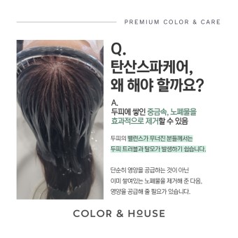 컬러하우스 이미지