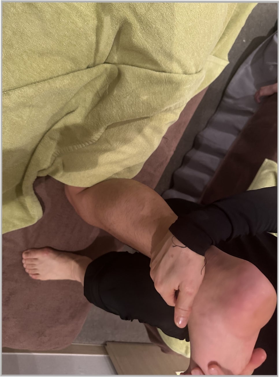 더바디스 이미지