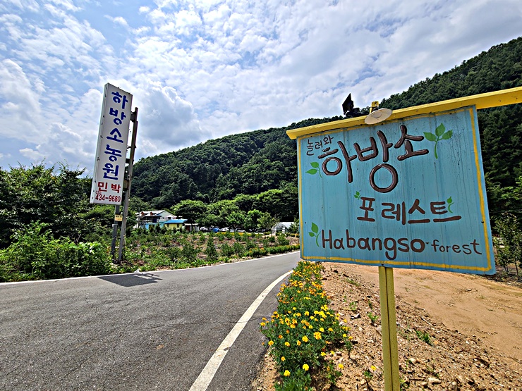 포레스트펜션민박 이미지