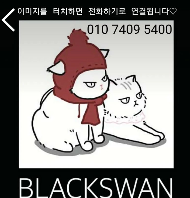 냥신사 이미지