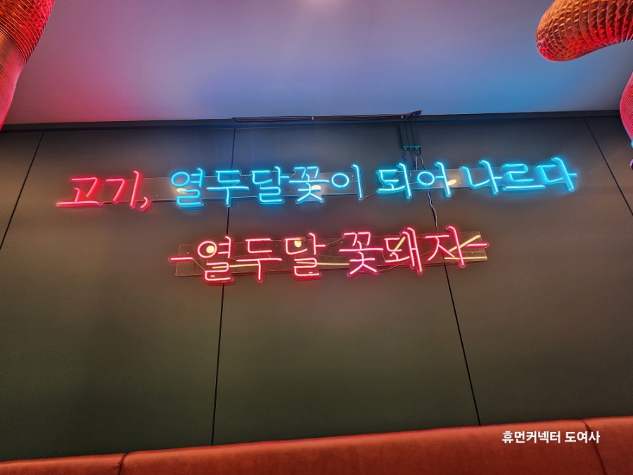 열두달꽃돼지 이미지