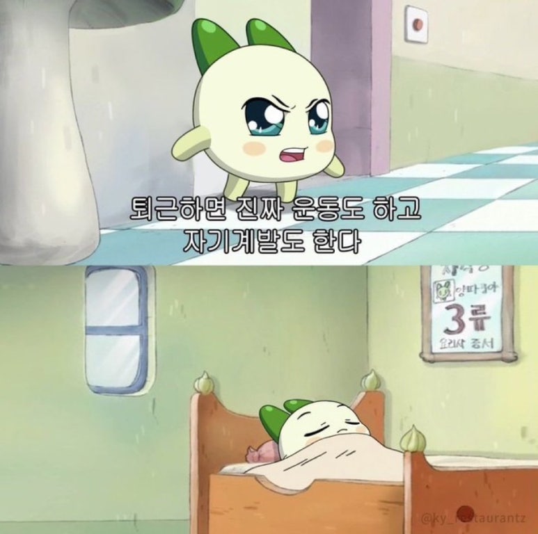씨지포토 이미지