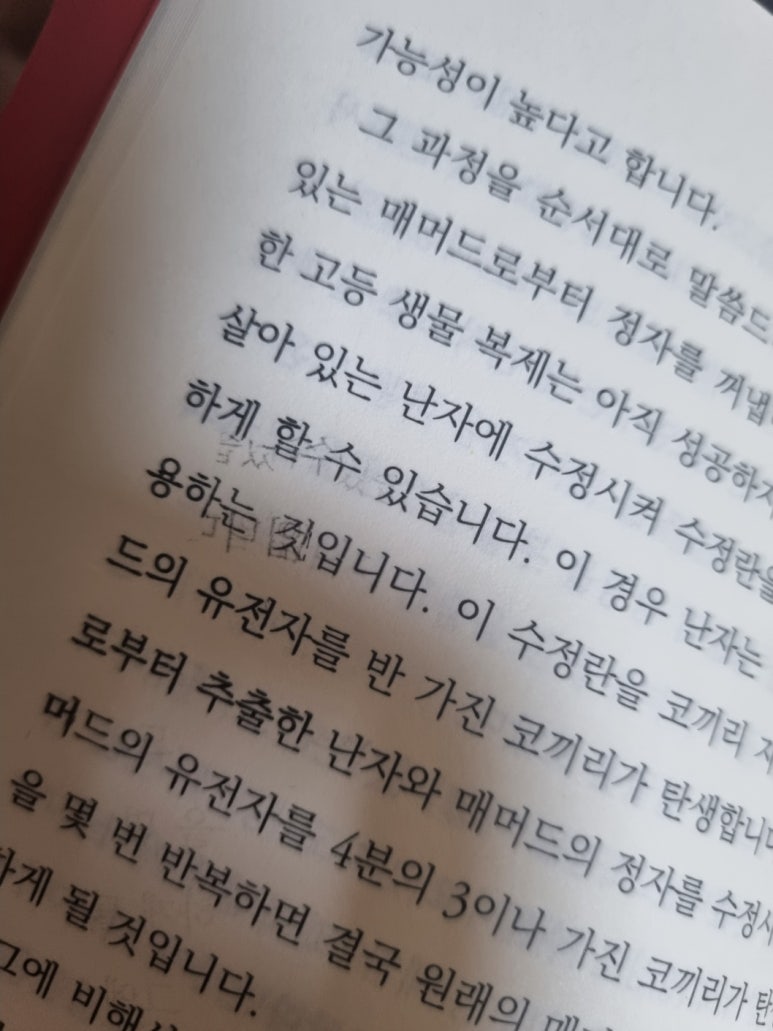야스미 이미지