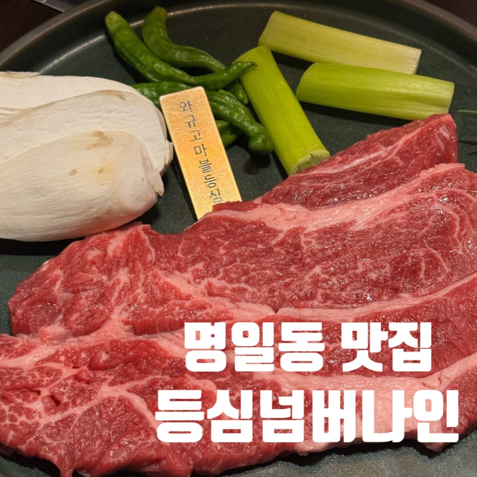 등심넘버나인 이미지