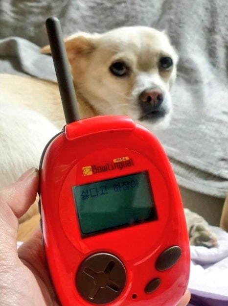 언톨드 이미지