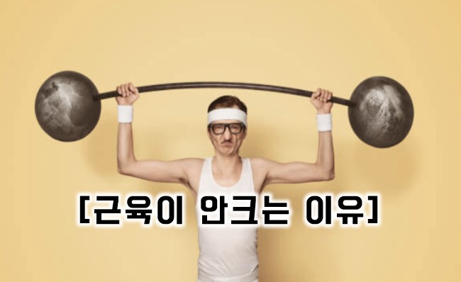 세종헬스 이미지