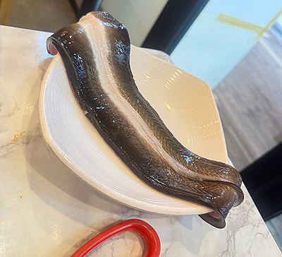 짱돌짚 이미지