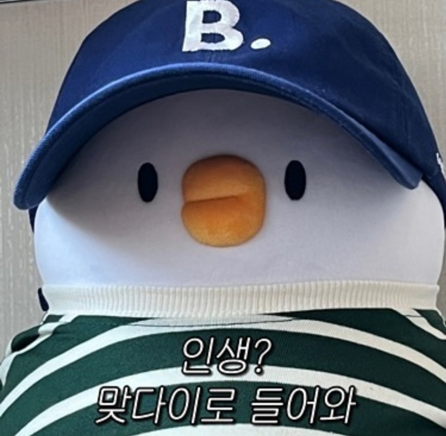 쌤하우스 이미지