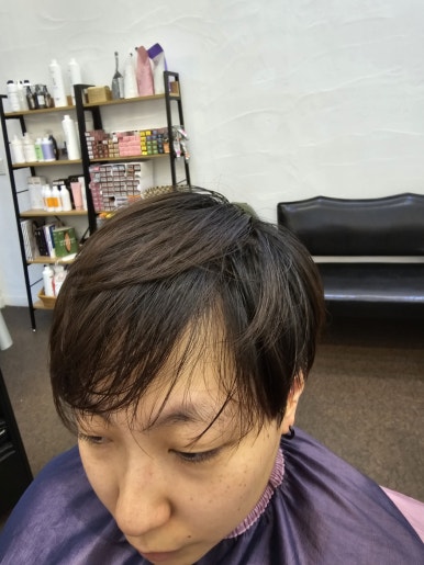 파보헤어 이미지