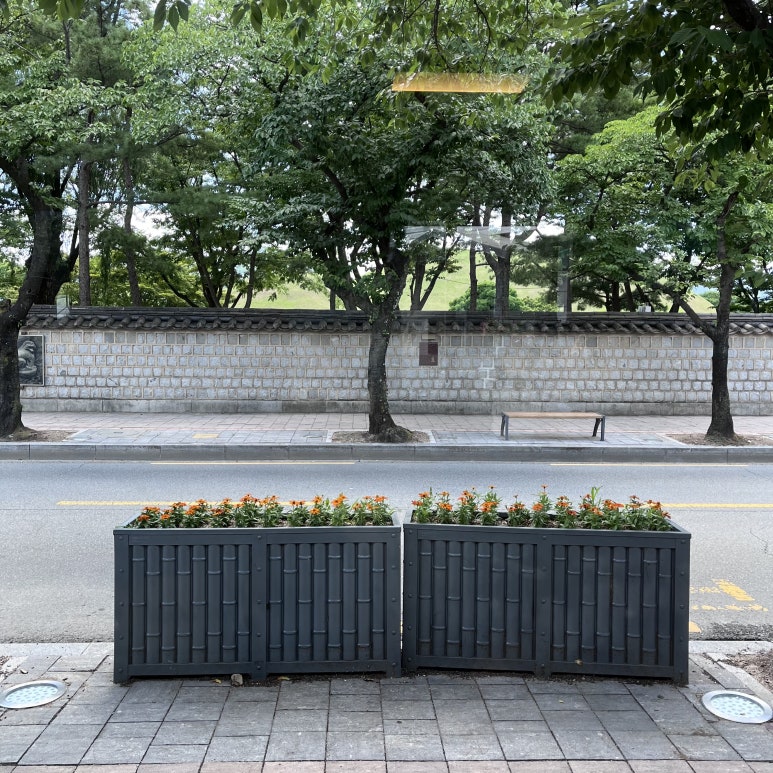 제육제패 이미지