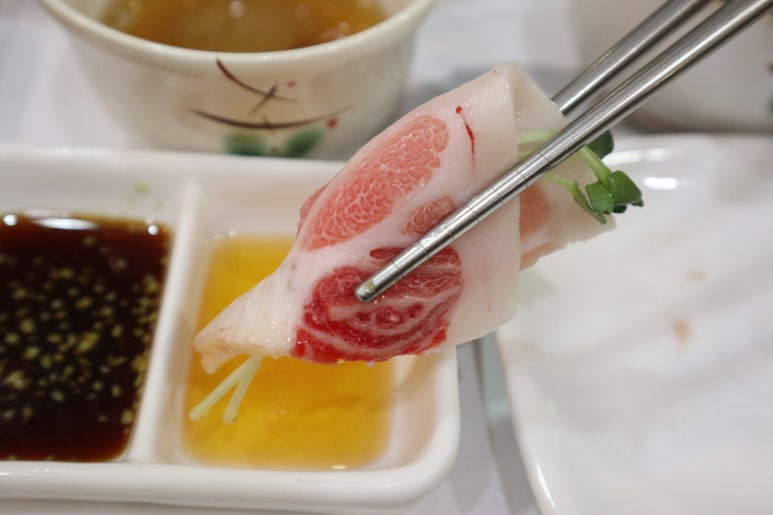 도참치 이미지