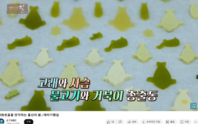 진가다감 이미지