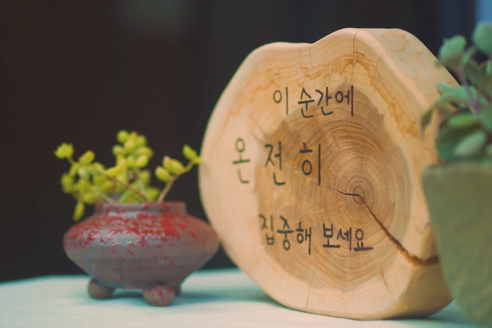 산림힐링재단 이미지