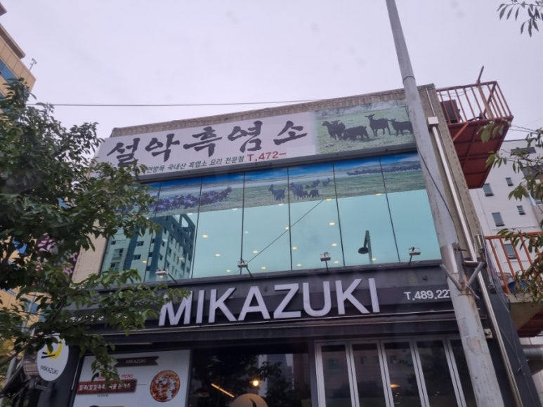 설악흑염소 이미지