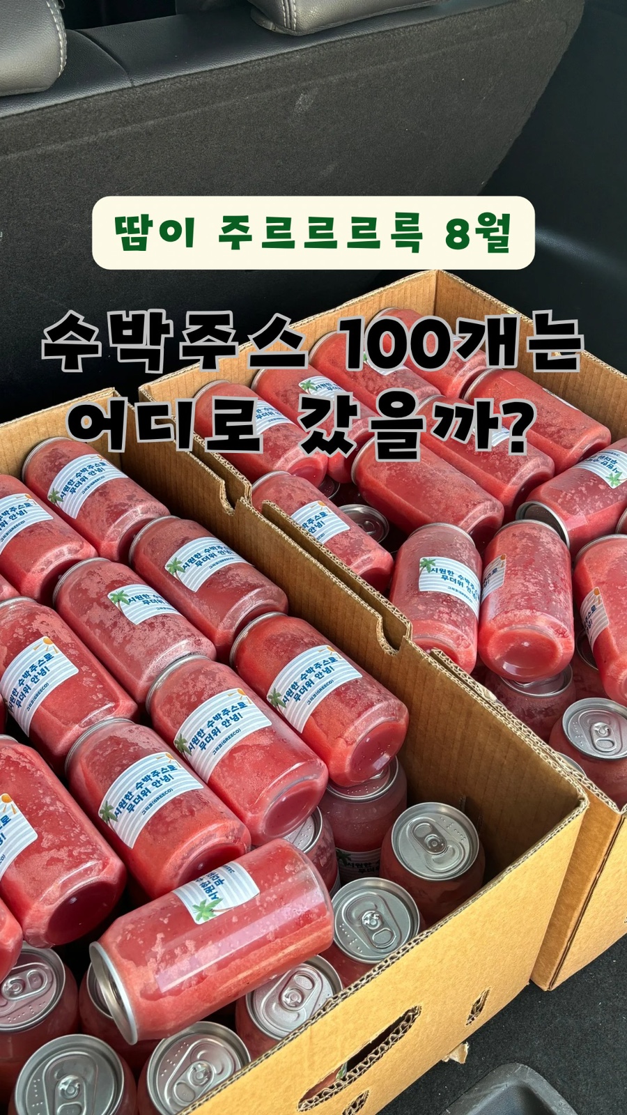 GREECO(그리코) 이미지