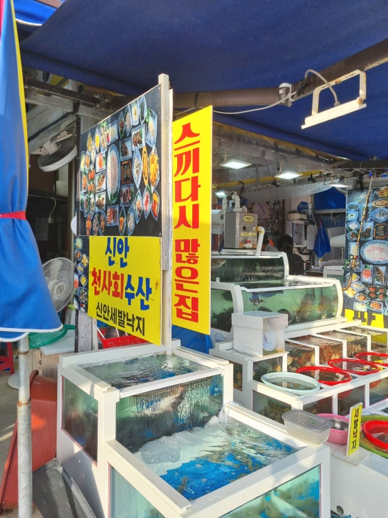 신안천사수산 이미지