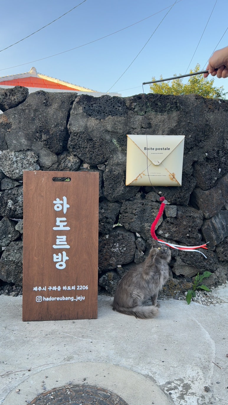 하도르방 이미지