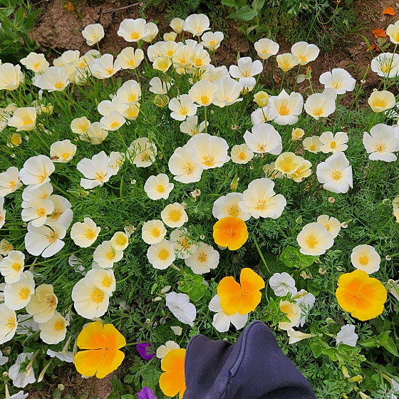 국립 백운산 자연휴양림 이미지