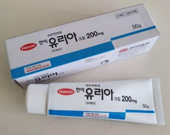 수유리아 이미지