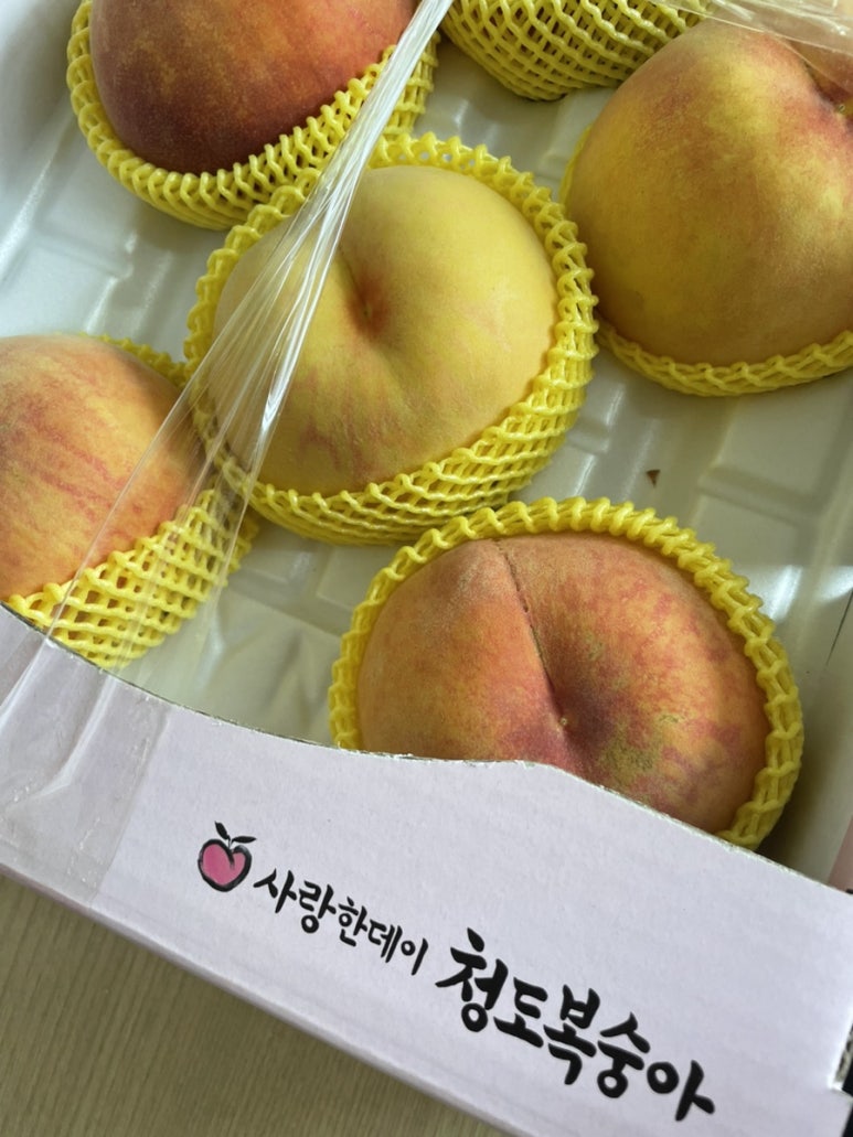 꿈에 그릭 이미지