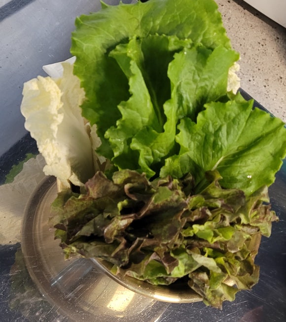 가은상회한우 이미지