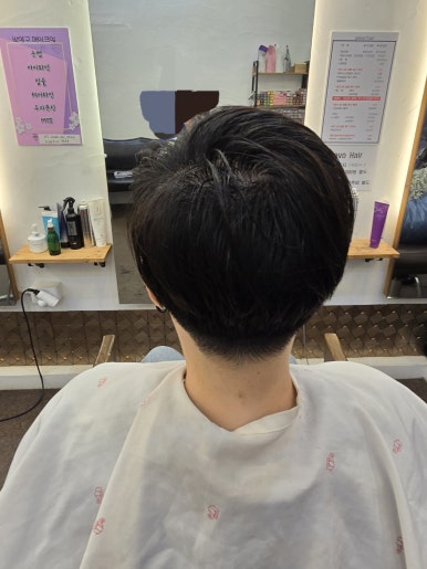 파보헤어 이미지