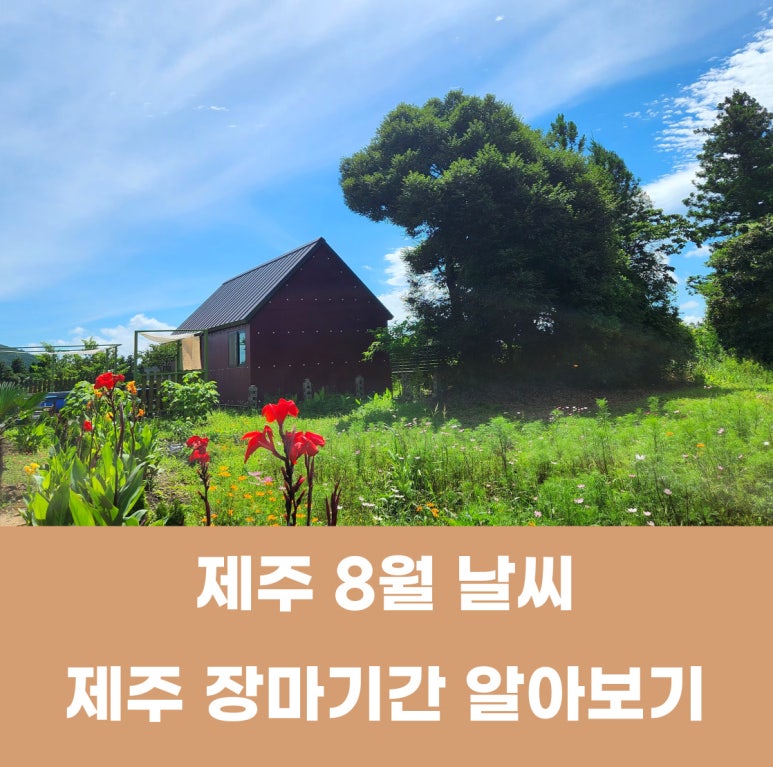알지니포레스트 이미지