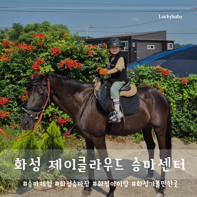 제이클라우드승마센터 이미지