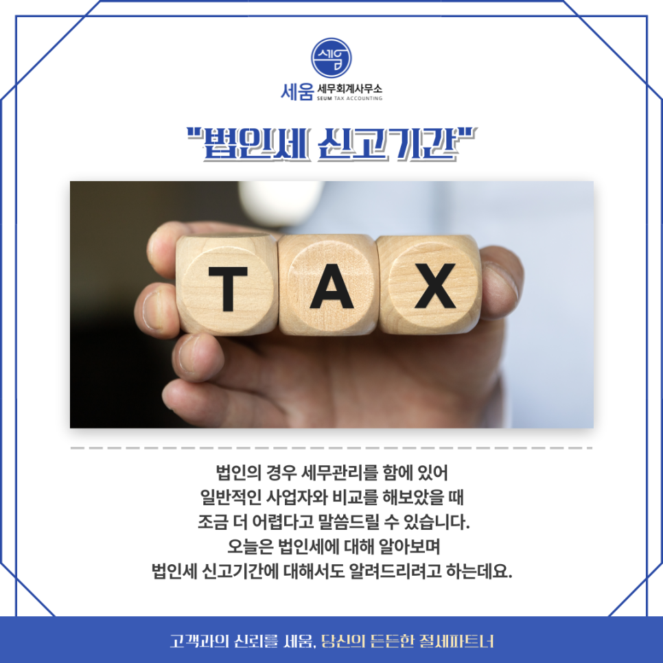 세움세무회계사무소 이미지