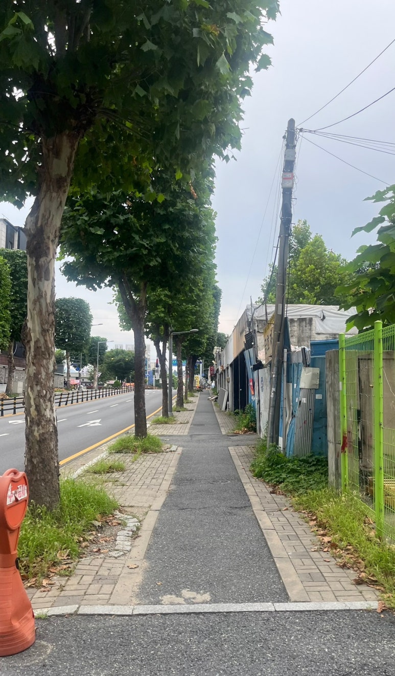 정직한하누1 이미지