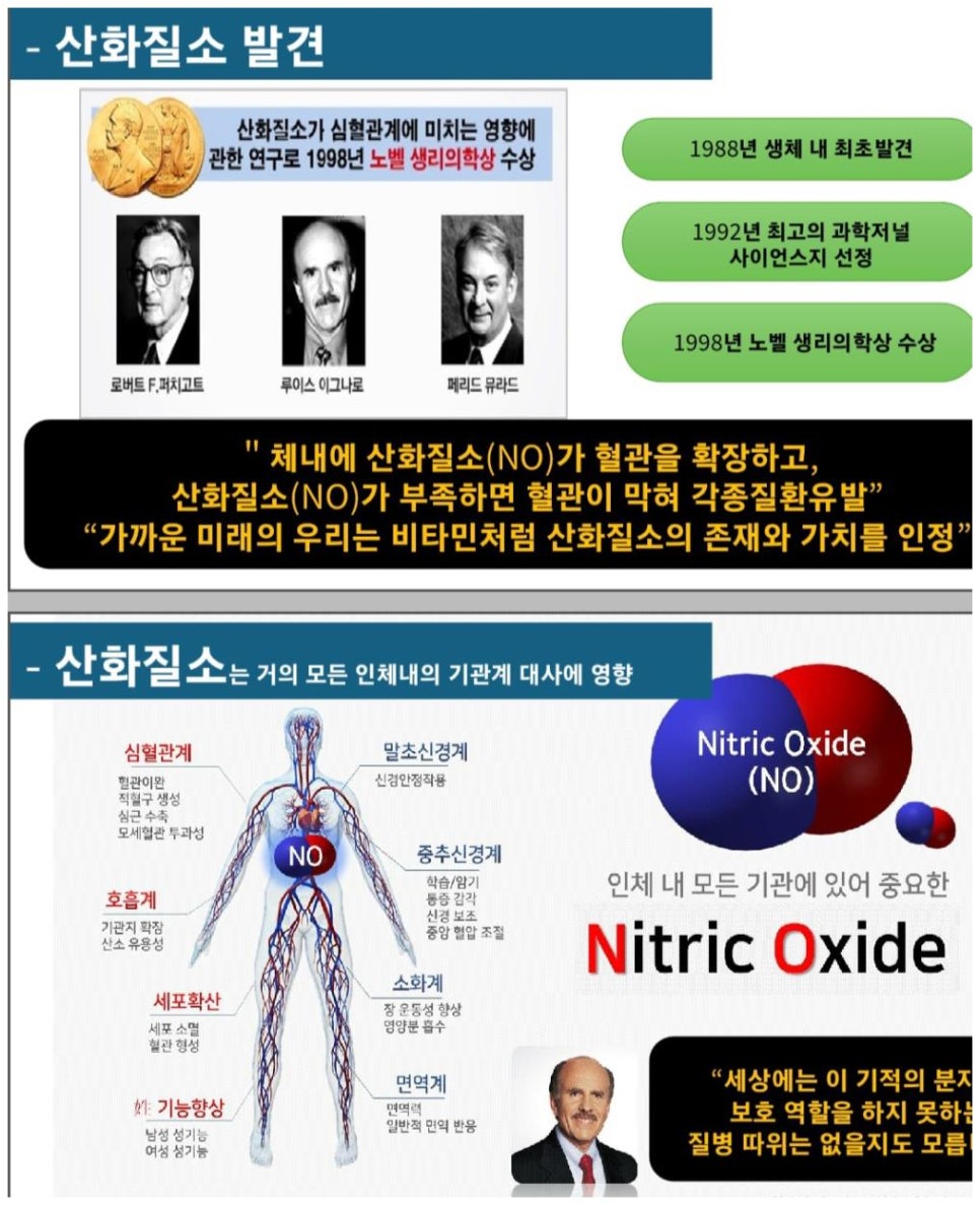 샤르네 이미지