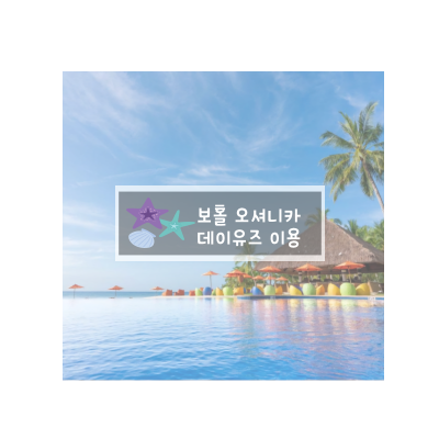 팜데이 이미지