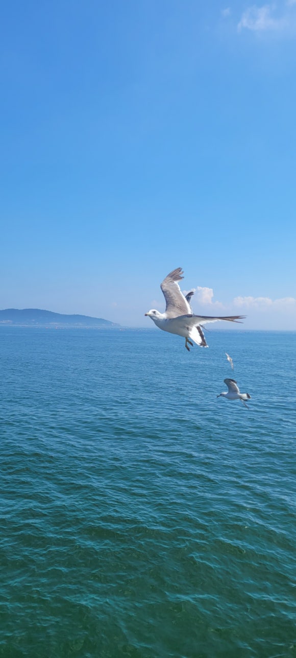 한라민박 이미지
