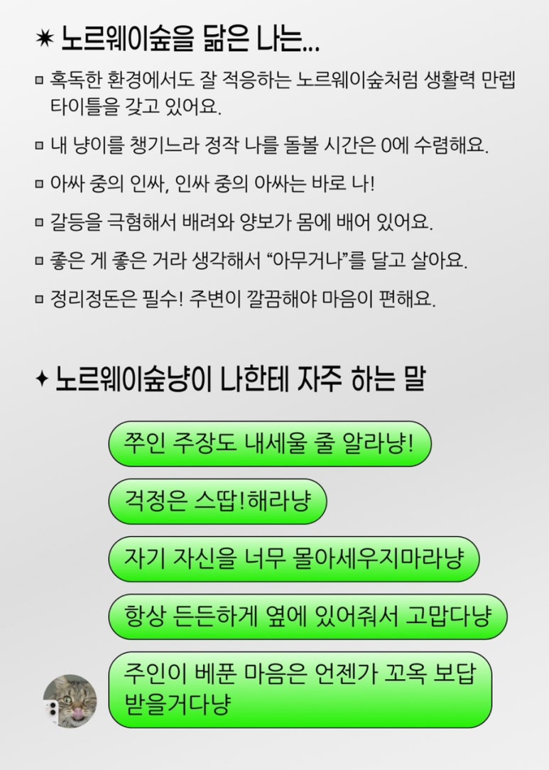 눈꽃을비비다 이미지